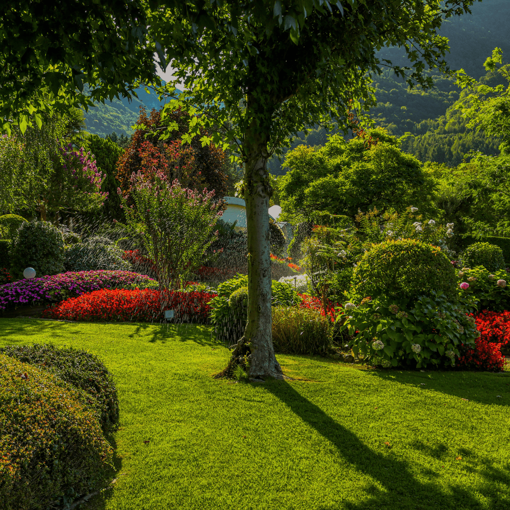 Mandore Gardens
